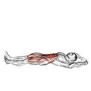 Sentadilla Jackknife
