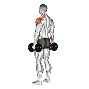 Levantada Lateral Con Mancuernas Para Deltoides Traseros