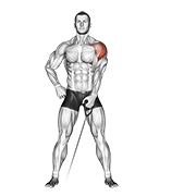 Levantada Lateral Con Cable De Un Brazo