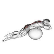 Extensión Lumbar Con Bola Estabilizadora Y Manos Detrás De La Cabeza