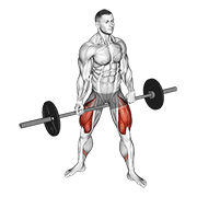 Sentadilla Jefferson Con Barbell