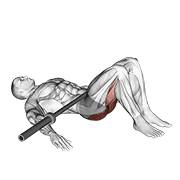 Puente De Glúteos Con Barbell