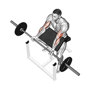 Curl De Barbell Con Banco