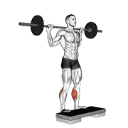 Elevación De Talones Con Barbell