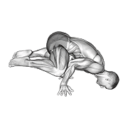 Planche Rana