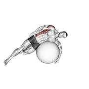 Estiramiento Lateral De Los Largos Del Torso Con Bola Estabilizadora