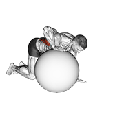 Estiramiento De Los Largos Del Torso Con Balón De Equilibrio