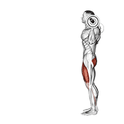Zancada Con Barbell