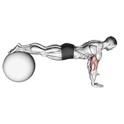 Flexión Con Bola De Estabilidad