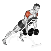 Levantada Lateral Inclinada Con Mancuernas