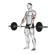 Curl De Bíceps Con Barbell