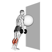 Elevación De Talones Con Bola De Ejercicio Apoyada En La Pared