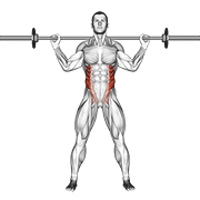 Torsión De Barbell De Pie