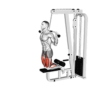 Curl De Piernas Invertido Con Cable