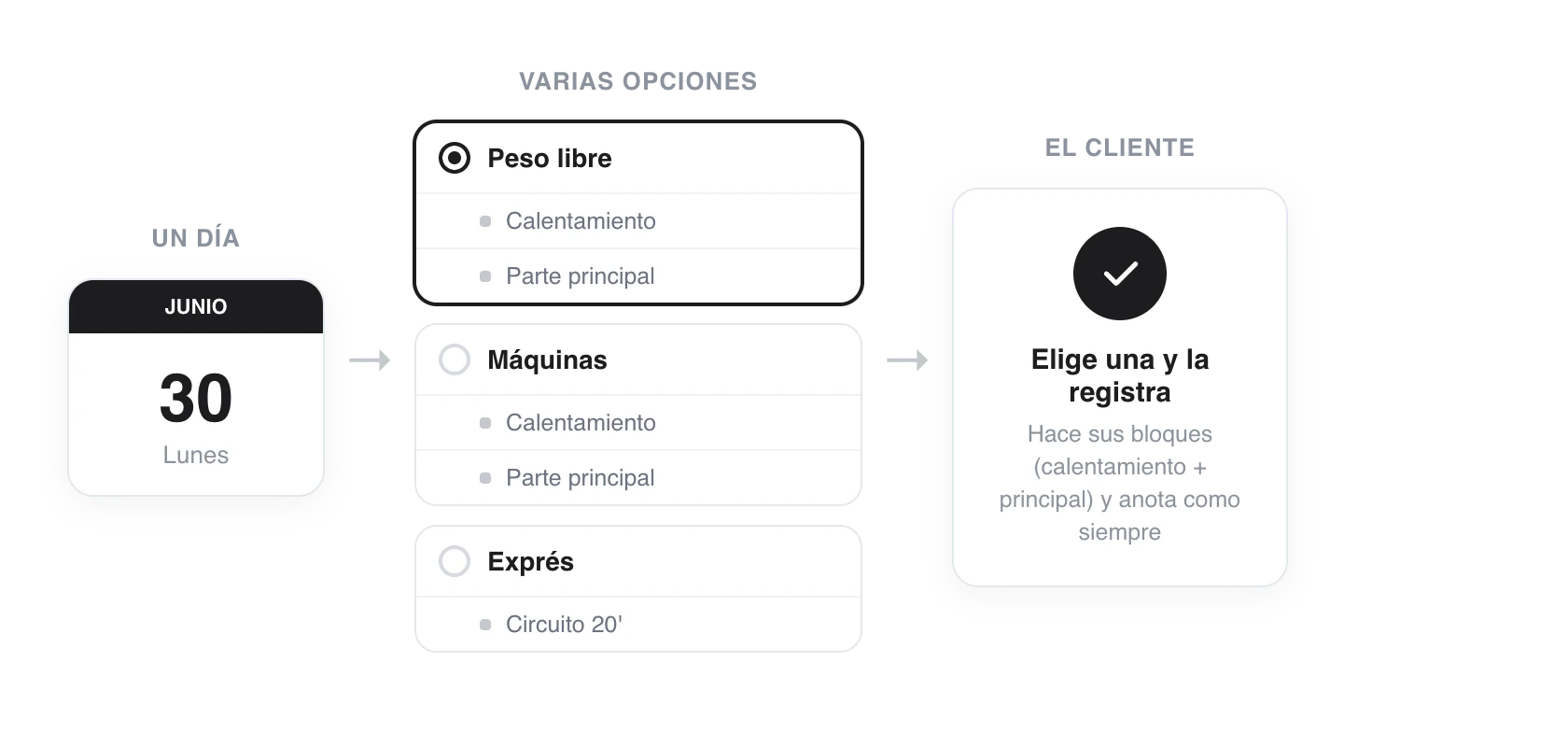 Diagrama: un día del calendario ofrece varias opciones (Peso libre, Máquinas, Exprés), cada una con sus bloques; el cliente elige una y la registra